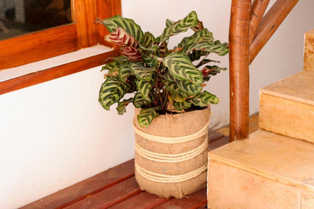 Apartmán Casa Mirella Jeri Jijoca de Jericoacoara Exteriér fotografie